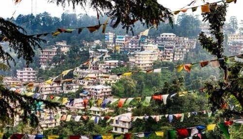 Discovering Dharamshala: A Spiritual Haven in the Shadow of the Himalayas